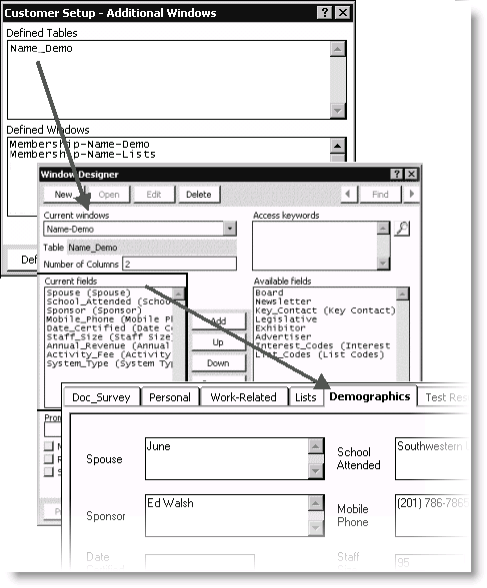 Sample Demographics window tab