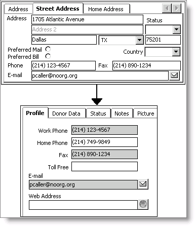 Phone number and email flow down