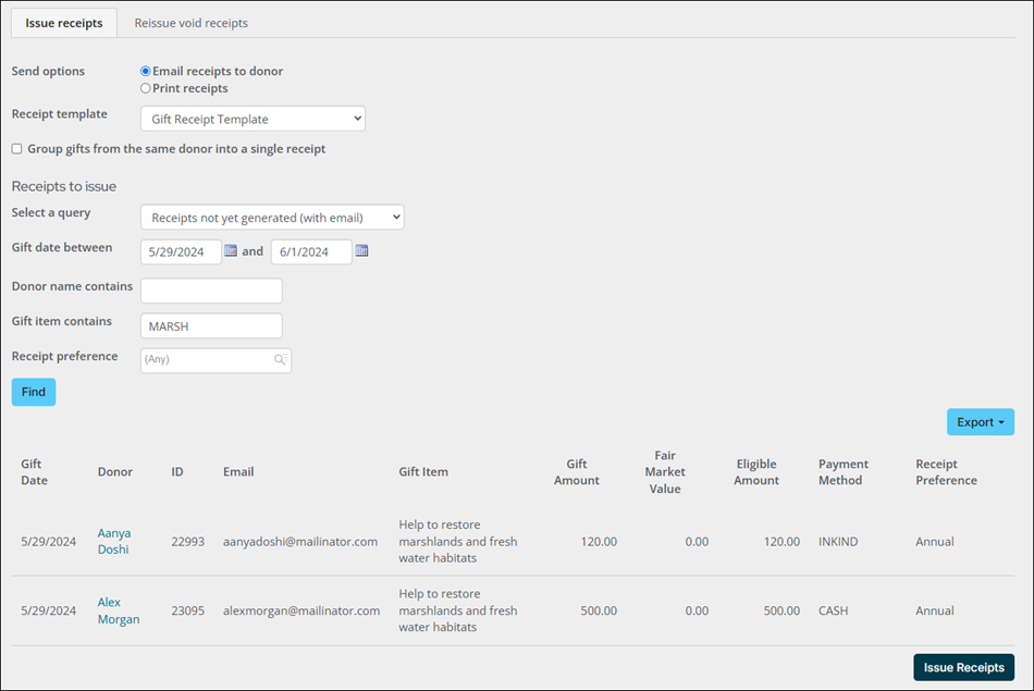 Full view of the "Issue receipts" window