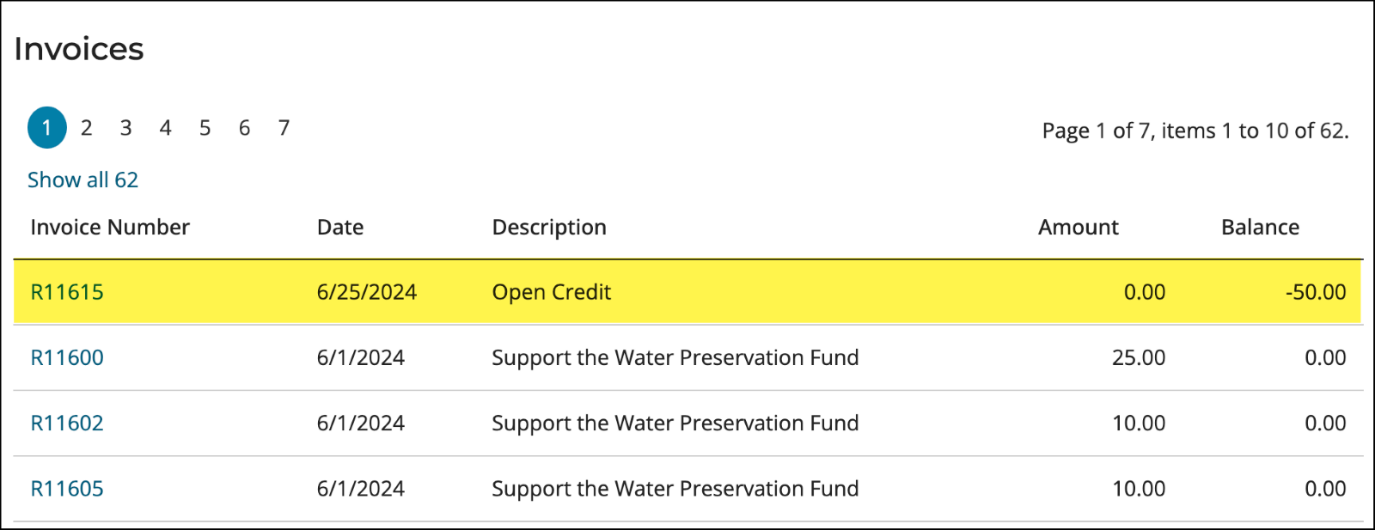 Creating the open credit payment method