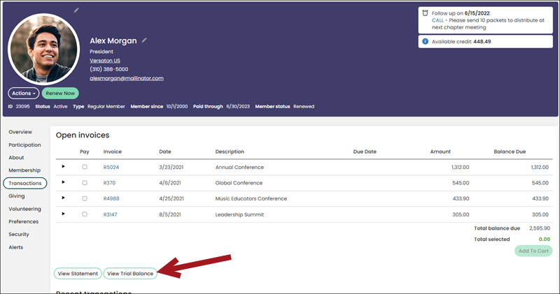 Clicking View Trial Balance from the Transactions tab of a contact account page