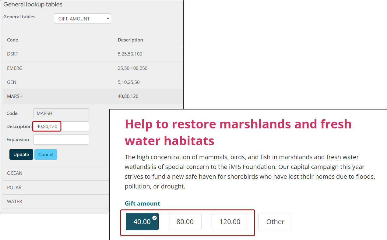 Editing the gift amount general look up table with values and then showing what the values look like on give now page