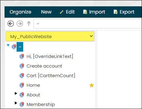 Selecting the public website from the drop down