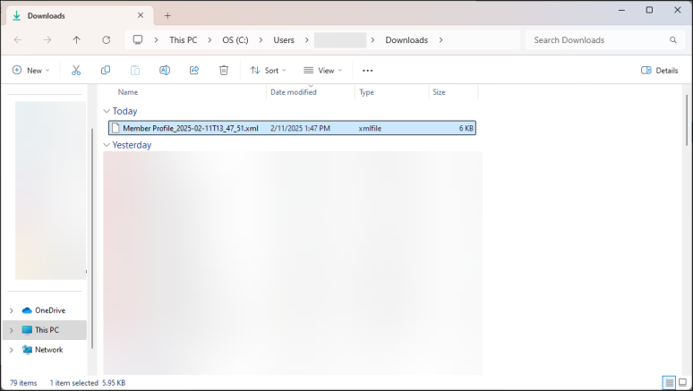 Downloading the XML files locally