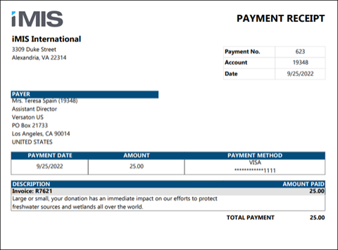 Viewing the Payment Receipt report example