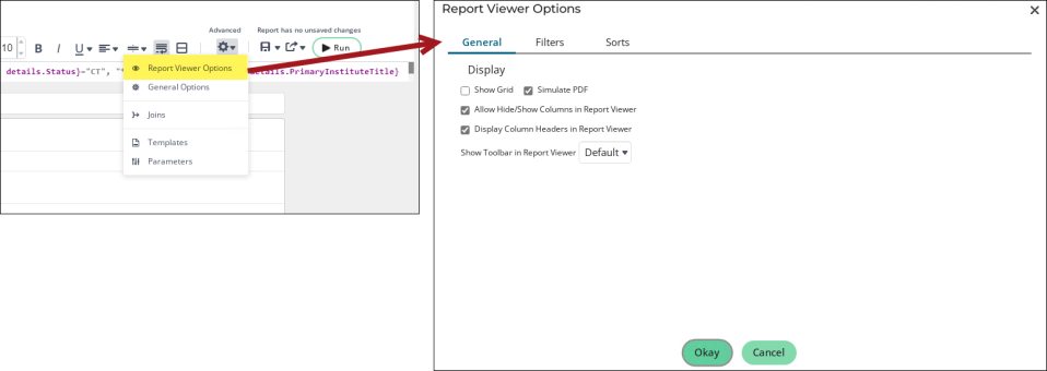 Viewing the Report Viewer Options window