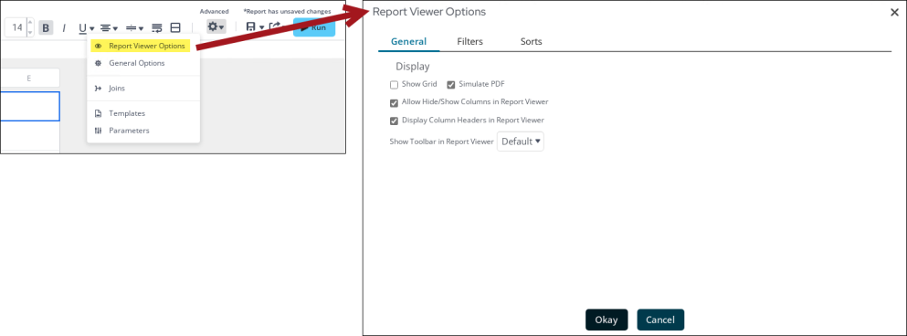 Viewing the Report Viewer Options window