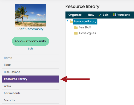 Viewing a Resource Library content item example