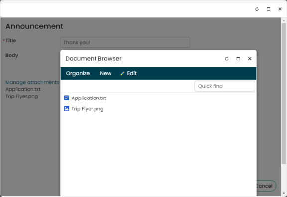 Viewing an Attachment Manager content item example