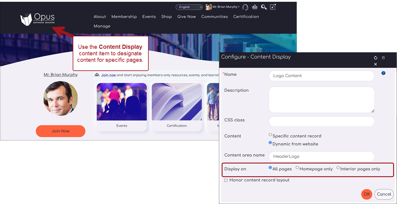 Viewing a Content Display content item example